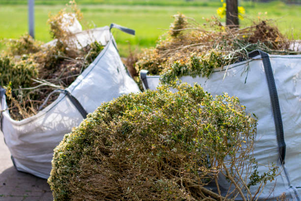 Best Junk Removal Near Me  in The Plains, OH
